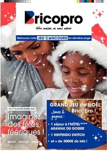 Catalogue promo bricopro du 1 au 24 décembre 2023