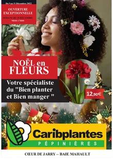 Catalogue promo caribplantes du 9 au 31 décembre 2022