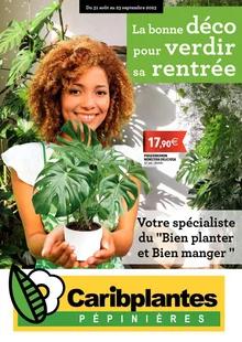 Catalogue promo caribplantes du 31 août au 23 septembre 2023