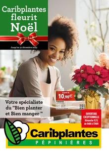 Catalogue promo caribplantes du 12 au 31 décembre 2023
