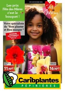 Catalogue promo caribplantes du 15 au 26 mai 2024
